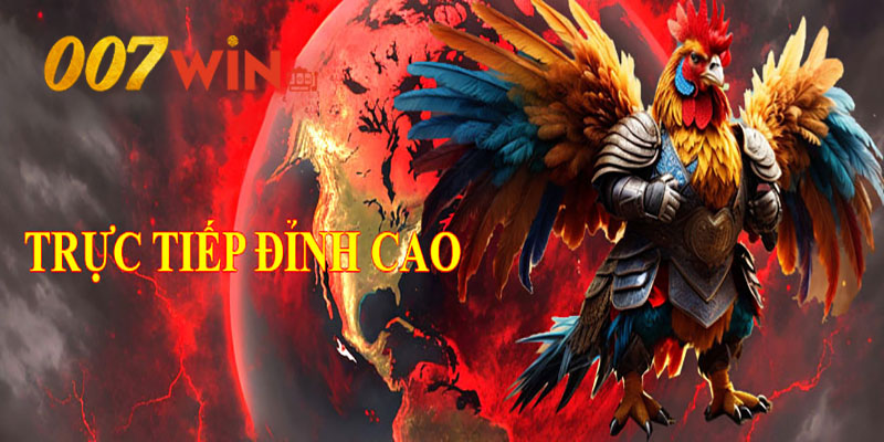 Hướng dẫn tham gia đá gà trên 007Win